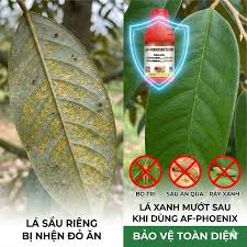 AF-Phoenix 30SC