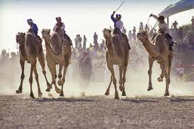 40 km from dubai, dubai, vereinigte arabische emirate. Child Camel Jockeys The Environmental Press Agency