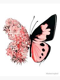 140 Butterflies ideas