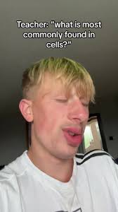 Common Cell Components Explained