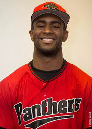 2014 Baseball Roster