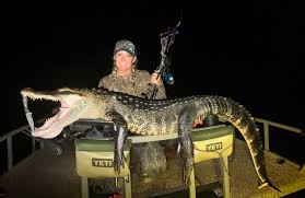 Check spelling or type a new query. Covid 19 Won T Stop Gator Hunters From Coming To Florida