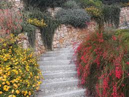 I fiori gialli e arancioni hanno un effetto allegro sui visitatori. Architetto Paesaggista Genova Il Giardino Mediterraneo In Liguria