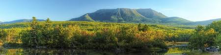 For more information on green alliance, visit www.greenalliance.biz Taylor Peraner Sales Project Manager Jewett Farms Co Linkedin