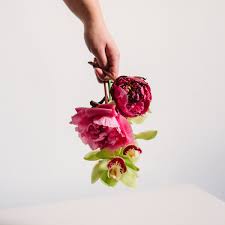 Check spelling or type a new query. Nectar Charlotte Wedding Florist Flower Delivery