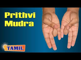 It prevents hair loss and premature graying. Prithvi Mudra Agni Shaamak Mudra Hand Pose For Cure Acidity Video Dailymotion