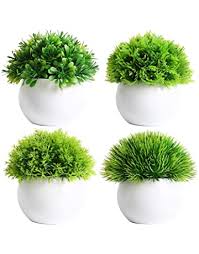 Its rich color is the perfect pop for any floral design, from vase arrangements to. I3m95xiepcajnm