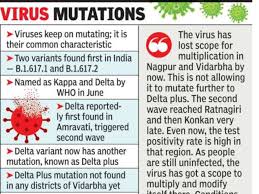 And now accounts for 95% of cases being sequenced. Delta Plus Variant News Vidarbha Where Delta Variant Originated Has No Case Of Delta Plus Yet Nagpur News Times Of India