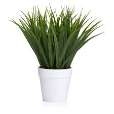 Amazon advertising find, attract, and engage customers: Artificial Flowers Artificial Plants Wilko Com