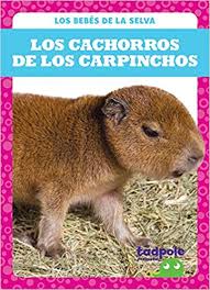 Están de moda los #carpinchos ? Los Cachorros De Los Carpinchos Capybara Pups Tadpole Books Spanish Edition Los Bebes De La Selva Rain Forest Babies Genevieve Nilsen 9781645276524 Amazon Com Books