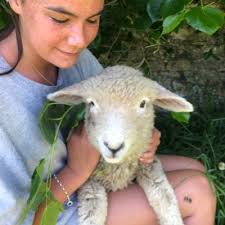 Hattie Grace (@HatsGrace)