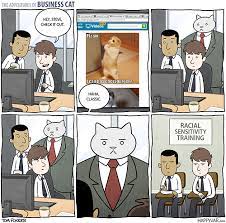 Teach me sensei | LOLcats | Know Your Meme