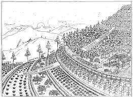 Alley Cropping And Silvopasture Permaculture Design Course Handbook Permaculture Design Course Permaculture Design Permaculture