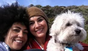 Best Dog Training in San Francisco Bay AreaSF Dog Connect