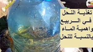 الــدرس السابــع عشر تغذيــة النحل بالمحلول السكــري و أهمية المـــاء في فصل الربيــع و الصيـف Youtube