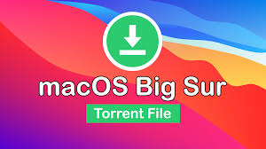 Help i have a pro membership and still can't download pfd files. Download Macos Big Sur Torrent Image Latest Version Techspite
