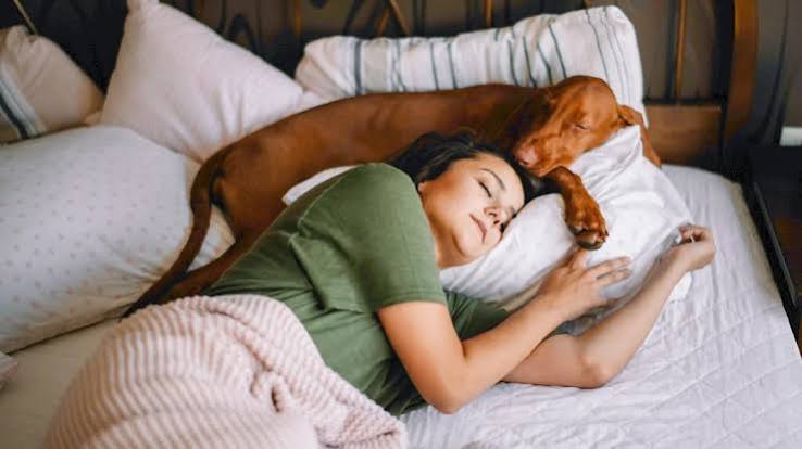 Sleep and Wakefulness: Benefits, Stages, Tips, and More