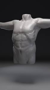 Upon completion, you'll have an understanding of how to draw the forms to invent your own characters or improve your life drawings. Artstation Torso Anatomy Practice Jeremy Jodoin