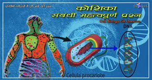 We did not find results for: à¤• à¤¶ à¤• à¤¸ à¤¬ à¤§ à¤®à¤¹à¤¤ à¤µà¤ª à¤° à¤£ à¤ª à¤°à¤¶ à¤¨ à¤œ à¤µ à¤µ à¤œ à¤ž à¤¨ à¤µ à¤œ à¤ž à¤¨ à¤ª à¤°à¤¶ à¤¨ à¤¤ à¤¤à¤° Cell Biology Topics