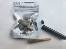 Image result for Cannabis