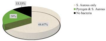 Image result for Polygala sadebeckiana