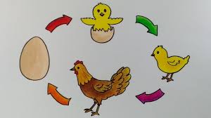 We did not find results for: Cara Menggambar Daur Hidup Ayam Menggambar Perkembang Biakan Ayam Youtube