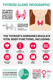 Pin On Hypothyroidism And Adrenal Fatigue
