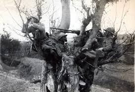 Liberă pentru uz comercial ✓ nu necesită atribuire ✓. DupÄƒ Un Secol Fotografii De ColecÈ›ie Din Primul RÄƒzboi Mondial Dcnews