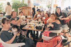 Explore tweets of common ground @commongroundmy on twitter. Look At All The Adorable Doggos We Met At Common Ground Jaya One S Launch Paw Ty