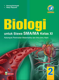 Nah kali ini kembali lagi bersama download buku paket biologi kelas 10 kurikulum 2013 erlangga. Buku Paket Biologi Kelas 10 Siswapelajar Com