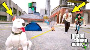 Yavru Beyaz Pitbull Jack Tek Basina Zombilerle Dovusuyor Gta 5 Youtube
