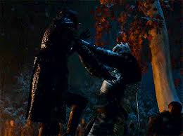But showrunners david benioff and d.b. Fans Uncover All The Hidden Hints That Led To That Arya Twist Bored Panda