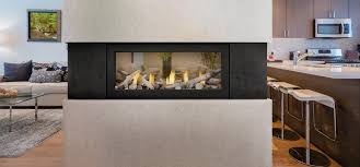 We have 2 napoleon acies l50p2 manuals available for free pdf download: Napoleon Acies 50 See Through Direct Vent Gas Fireplace L50n2 The Outdoor Fireplace Store