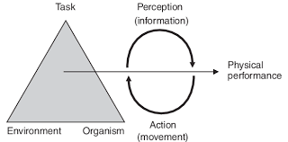 Newell's model, created by karl newell, outlines three different domains that affect motor movements and how they are displayed by an organism: Newell S Model Of Interacting Constraints Adapted To Illustrate The Download Scientific Diagram
