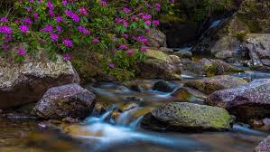 Water Mountains Landscapes Nature Snow Valley Rocks Switzerland Rivers Wallpaper Wallpapers13 Com