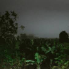 1 Hour Thunder Rain In Veracruz During The Night By Felixblume