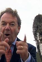 Bruce Forsyth and the Generation Game (TV Series 1971–2005)