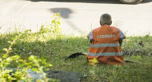 Am citit mai multe statistici, am verificat la fisc cine plăteste cele mai mari impozite şi am făcut pentru tine un top al celor mai bine plătite joburi. Locuri De MuncÄƒ Bine PlÄƒtite Cum Este Posibil Acest Lucru In Moldova