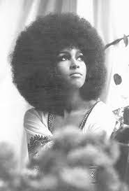 1968 1960s Hair Afro Hairstyles Vintage Hairstyles