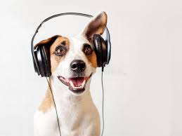 Dog In Headphones Listening To Music Happy Pet Ad Listening Headphones Dog Pet Happy Ad In 2020 Dogs Listening To Music Happy Animals