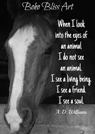 When I Look Into The Eyes Of An Animal I Do Not See An Animal Etsy Inspirational Horse Quotes Horse Riding Quotes Equine Quotes