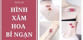 Hình xăm hoa bỉ ngạn cho nữ mini nhỏ đẹp và ý nghĩa | tattoo 2019hoa chờ một người, yêu tận tâm can. Hinh XÄƒm Hoa Bá»‰ Ngáº¡n Ä'áº¹p Top 1001 Máº«u Tattoo Bá»‰ Ngáº¡n