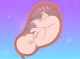 We did not find results for: How Does Surrogacy Work In The Uk And What Are The Uk Surrogacy Laws Metro News