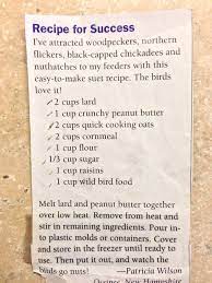Homemade Bird Feeders Suet Recipe Bird Suet