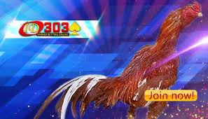 Sexuele voorlichting does not have any comments (yet). Ciri Ayam Bangkok Yang Memiliki Kaki Yang Kuat Dan Pukulan Yang Keras By Id303 Info Medium
