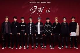 Stray Kids Jyp S New Boy Group Stray Kids Survival Show Kpop Straykids Kpop Jyp Jypentertainment Kids Tv Kids Groups Kids