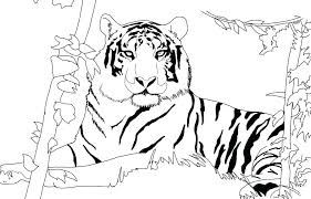 Pin On Vbs Lesson Activities