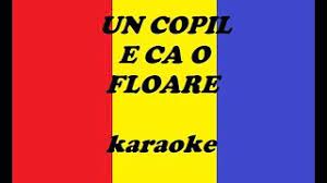 Provided to youtube by believe sas un copil e ca o floare · mihai barbu muzica de petrecere ℗ apollomusicrecords released on: Un Copil E Ca O Floare Karaoke Negativ Versuri Lena Miclaus Chords Chordify