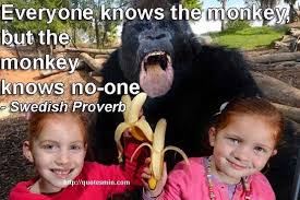Everyone Knows The Monkey But The Monkey Knows No One Swedish Proverb For More Swedish Proverbs Http Quotesmin Funny Animals Silly Animals Animal Antics