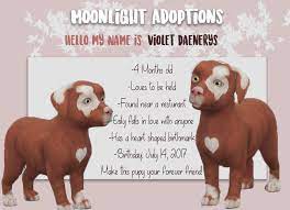 Check out our main channel for sketches, let's plays, and discussions! Female Dachshund Mix Moonlight Adoptions Available For Download In Ts4 Gallery Username Nativemoonlight Sims 4 Pets Sims 4 Pet Sims Pets